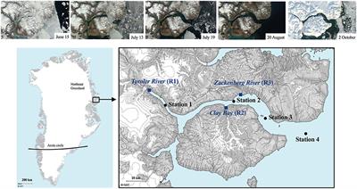 Carbon Bioavailability in a High Arctic Fjord Influenced by Glacial Meltwater, NE Greenland